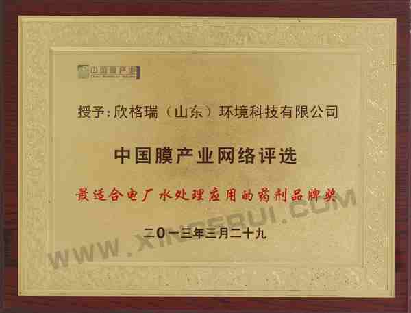 最适合电厂水处置惩罚应用药剂品牌奖