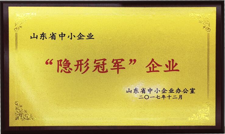 山东省隐形冠军企业