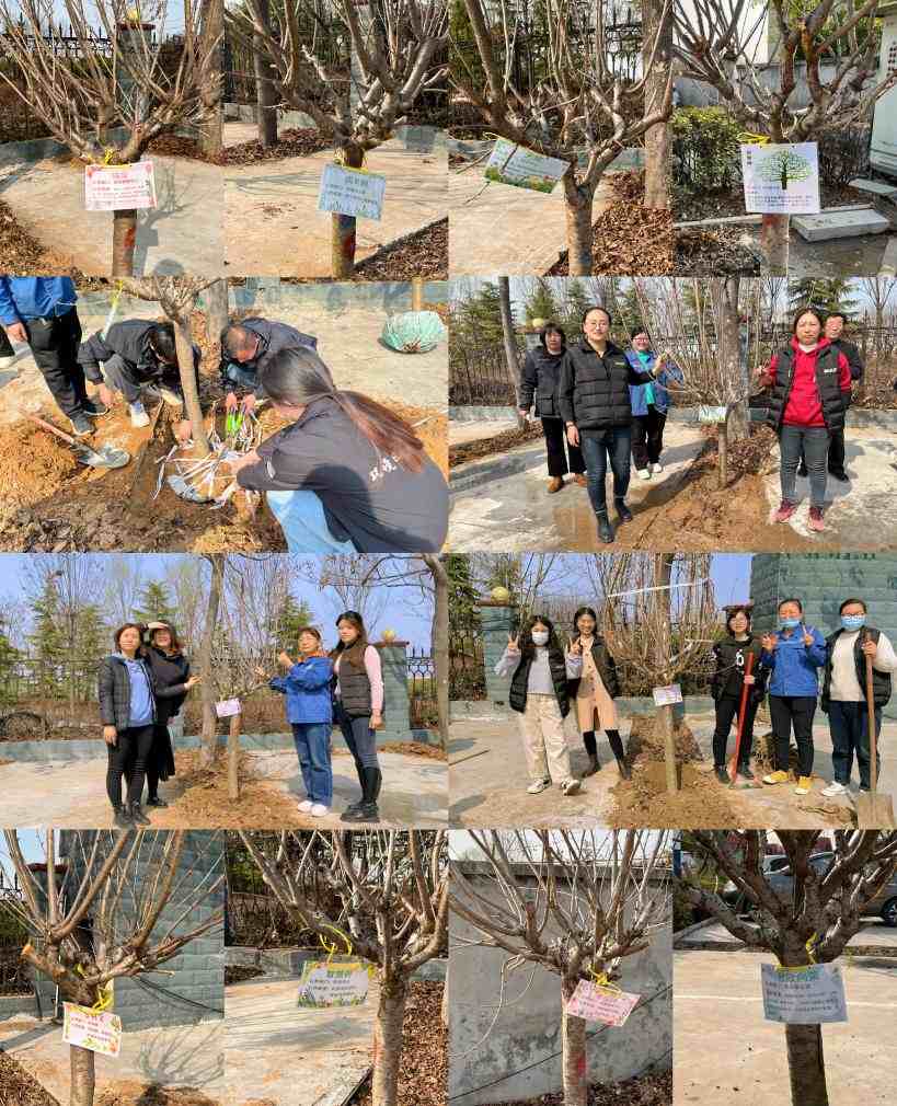 播种绿色 拥抱春天