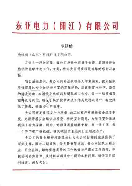 携手共赢·匠心折务再获认可 ——bwin必赢官方网站公司承接的东亚电力（阳江）余热锅炉化学洗濯项目获客户表扬